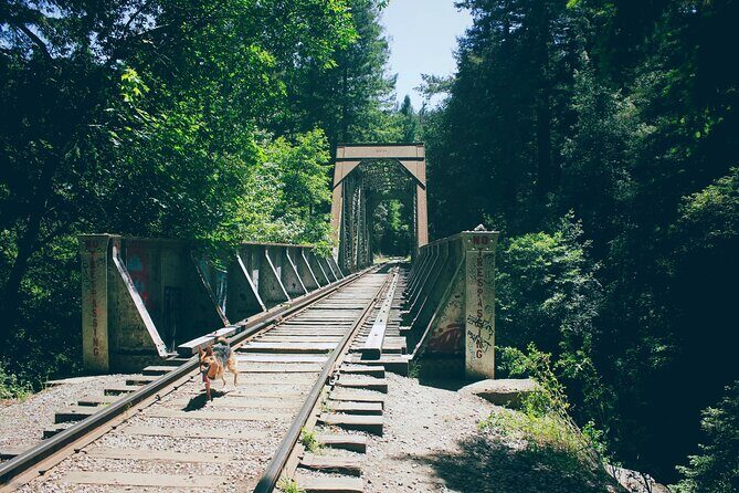 San Francisco to Santa Cruz Day Trip: Redwoods and Beach Fun - Who Would Love This Tour?