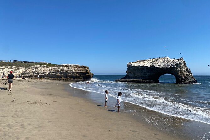 San Francisco to Santa Cruz Day Trip: Redwoods and Beach Fun - The Sum Up