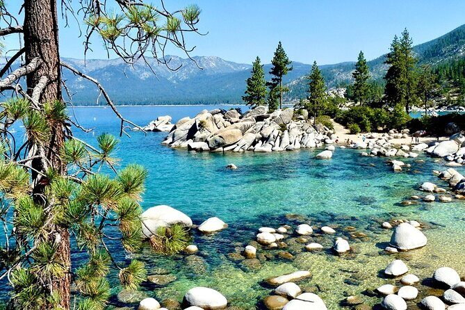 San Francisco to Yellowstone and Las Vegas 7-Day Tour - Introduction