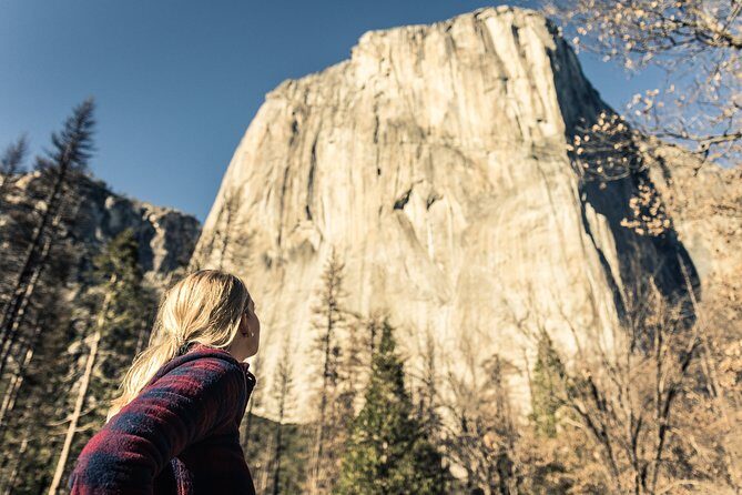San Francisco to Yosemite One-Way Transfer - Transportation and Timing