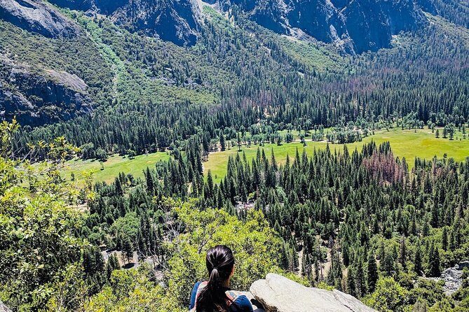 San Francisco to Yosemite One-Way Transfer - Final Thoughts