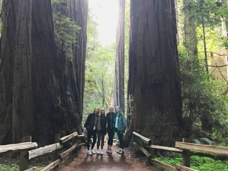 San Francisco Tour to Muir Woods Giant Redwoods & Sausalito - Who Will Love This Tour?