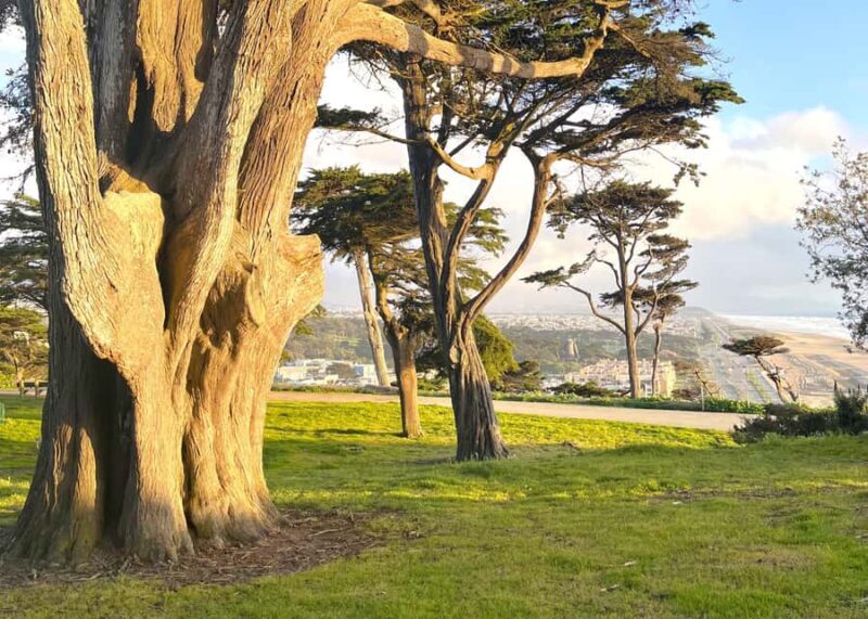 San Francisco: Wild Coast Tour - Who Is This Tour Perfect For?