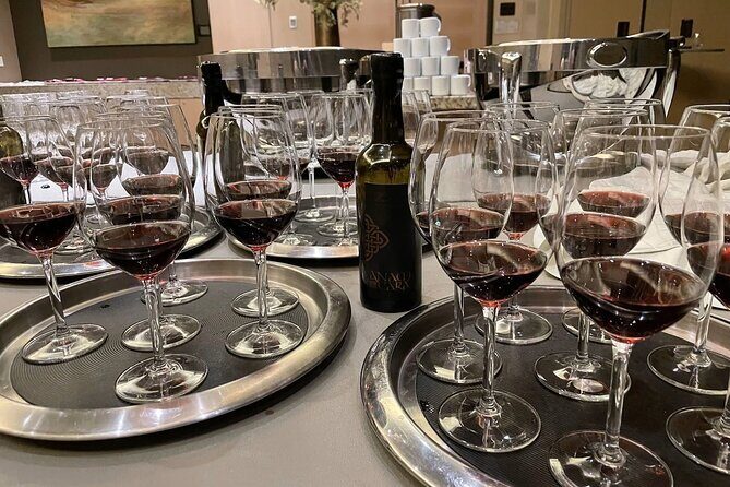 San Francisco Wine Country Tour in EV VW Van - Who Is This Tour Best Suited For?