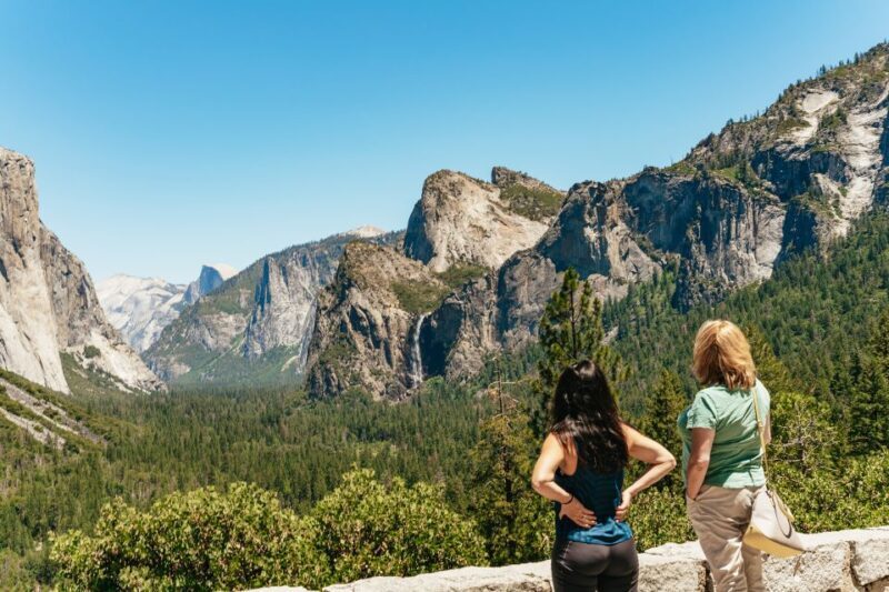 San Francisco: Yosemite National Park & Giant Sequoias Hike - A Deep Dive into the Yosemite Experience