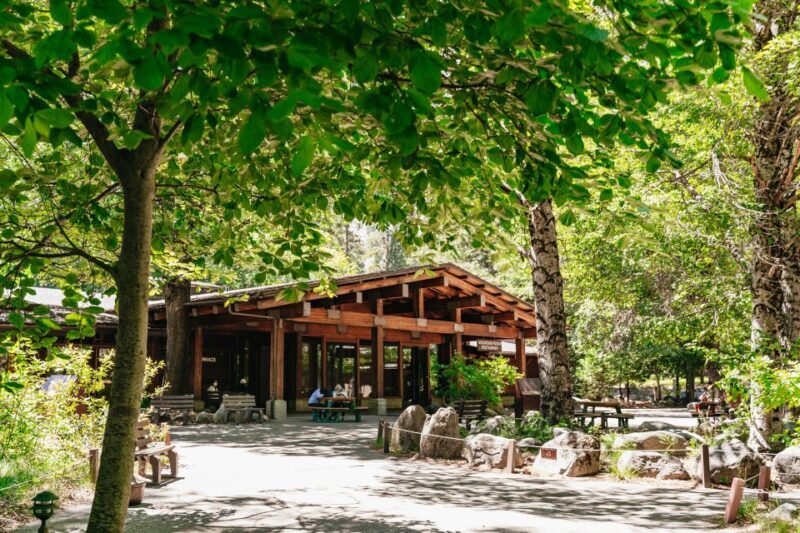 San Francisco: Yosemite National Park & Giant Sequoias Hike - Practical Tips and Considerations
