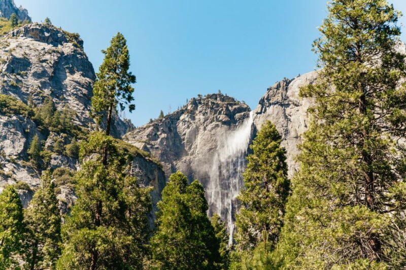 San Francisco: Yosemite National Park & Giant Sequoias Hike - Final Thoughts: Who Is This Tour For?