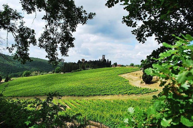 San Gimignano and Chianti Classico Wine and Food PRIVATE TOUR from Florence - Stop 2: San Gimignano — A Medieval Marvel