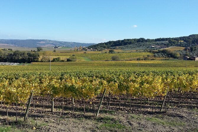 San Gimignano and Chianti tour - Who Should Consider This Tour?
