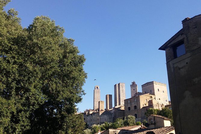 San Gimignano: Chianti wine tasting - Authenticity and Value