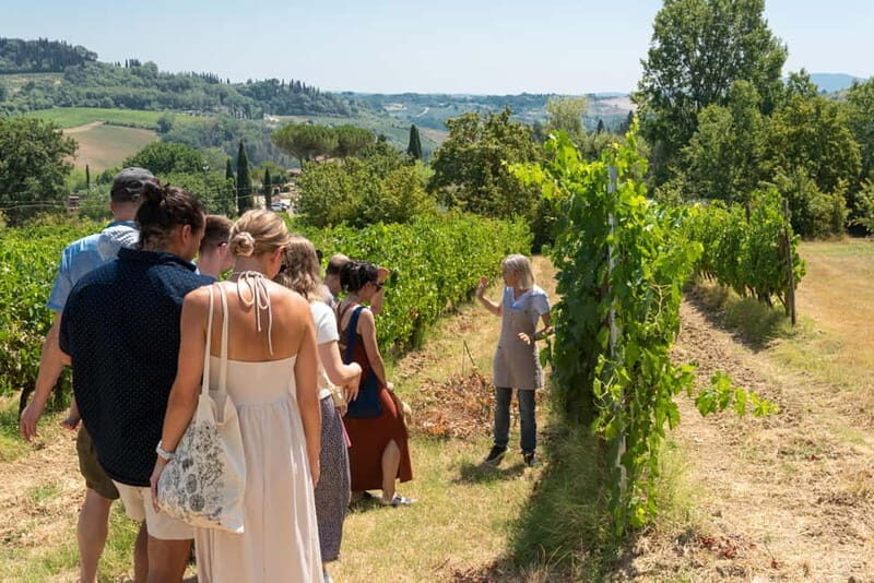 San Gimignano: Mini Wine Tour with Tuscan aperitif - Key Points