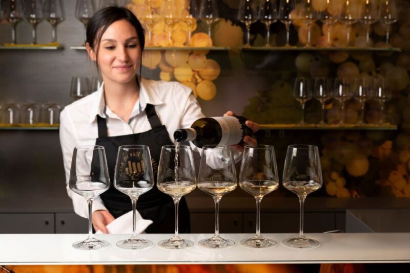 San Gimignano: Professional Wine Tasting Experience - Discovering the San Gimignano Wine Tasting Experience