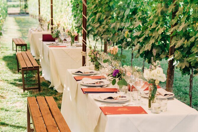 San Gimignano Romantic Dinner in the Vineyards - FAQ