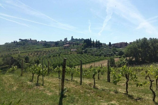 San Gimignano, Saffron and Vernaccia Wine from Florence - Key Points