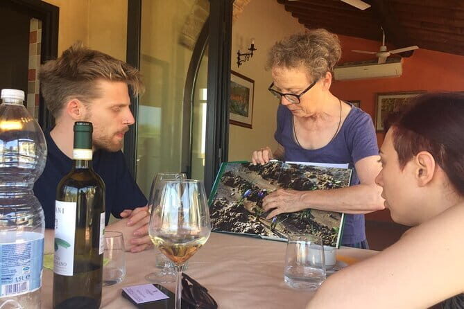 San Gimignano, Saffron and Vernaccia Wine from Florence - The Itinerary: A Day in Tuscany