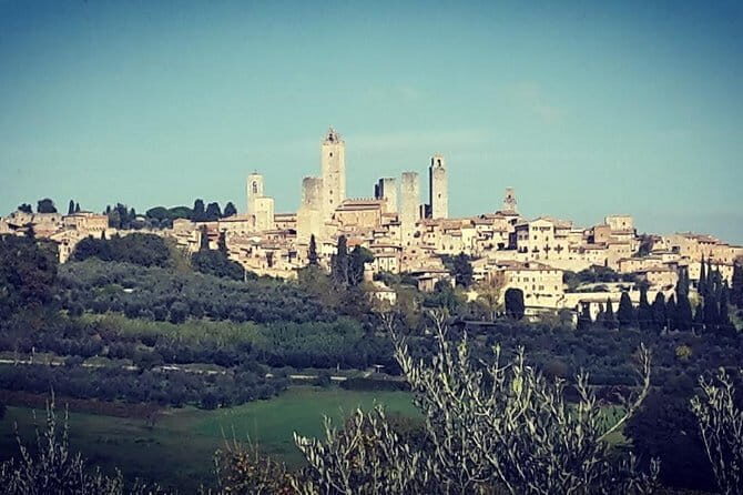 San Gimignano & Siena Chianti Winery full experience included - Siena: Medieval Charm at Your Own Pace