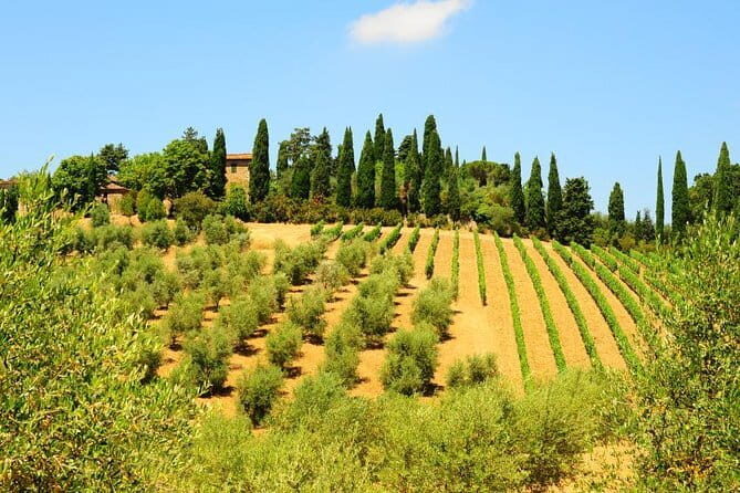 San Gimignano, Siena, Monteriggioni: Fully Escorted Tour, Lunch & Wine Tasting - The Bottom Line: Who Is This Tour Best For?