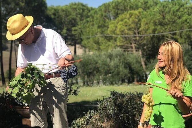 San Gimignano, Siena, Monteriggioni: Fully Escorted Tour, Lunch & Wine Tasting - FAQs