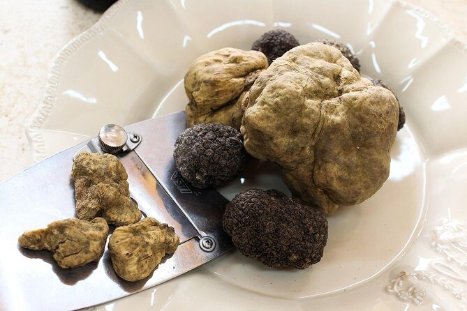 San Gimignano Truffle Hunt & Truffle Cooking Class - Analyzing the Value