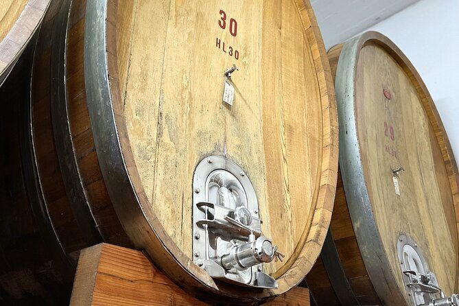 San Gimignano: Vineyard and Cellar Tour with Wine Tasting - FAQs