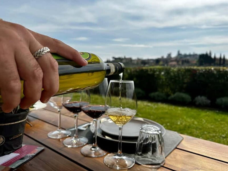 San Gimignano: Wine, Oil, Cheese & Balsamic Tasting - A Closer Look at the Experience