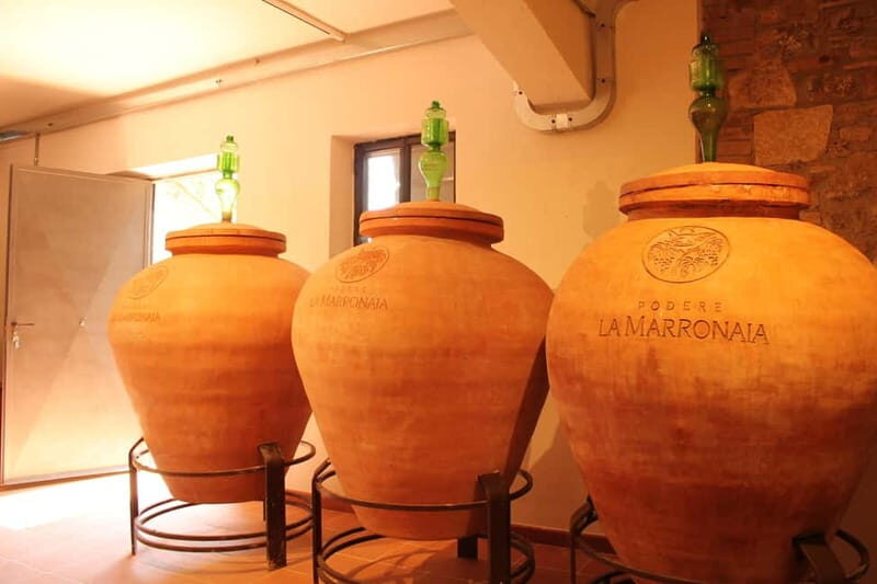 San Gimignano: Wine, Oil, Cheese & Balsamic Tasting - Why This Tasting Stands Out