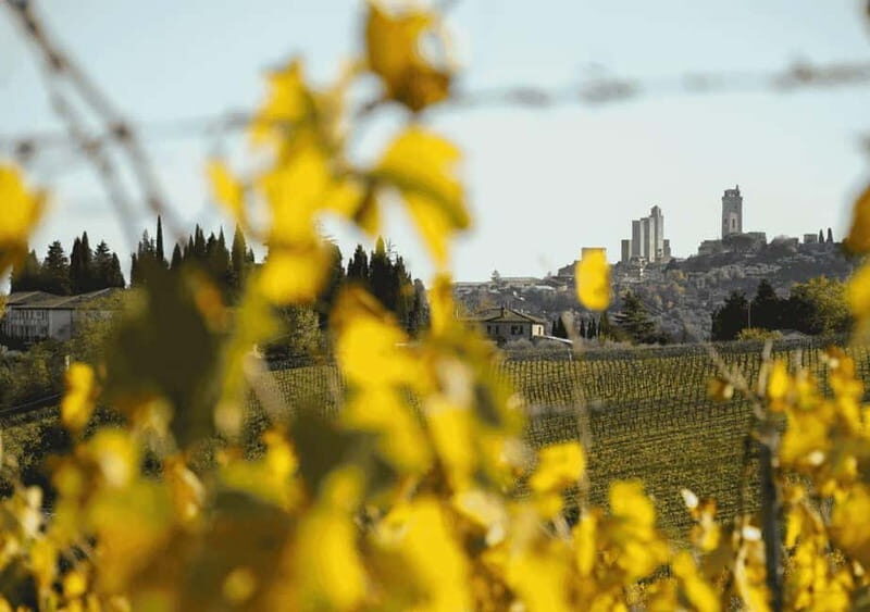 San Gimignano: Wine Tasting Experience at Il Colombaio - FAQ