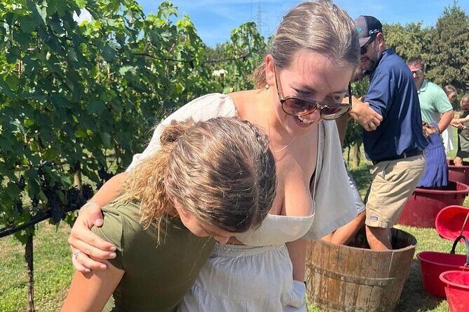 San Gimignano Wine Tour and tuscan appetizer for small group - An Overview of the Experience