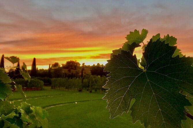 San Gimignano Wine Tour and tuscan appetizer for small group - Final Thoughts