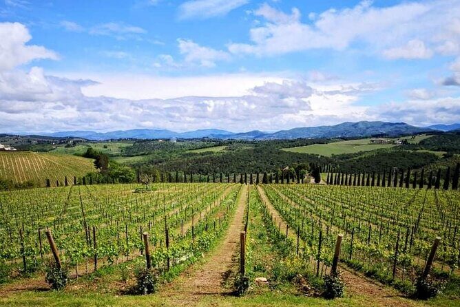 San Gimignano with lunch and wine tasting on a local winery - The Sum Up: Who Will Love This Tour?
