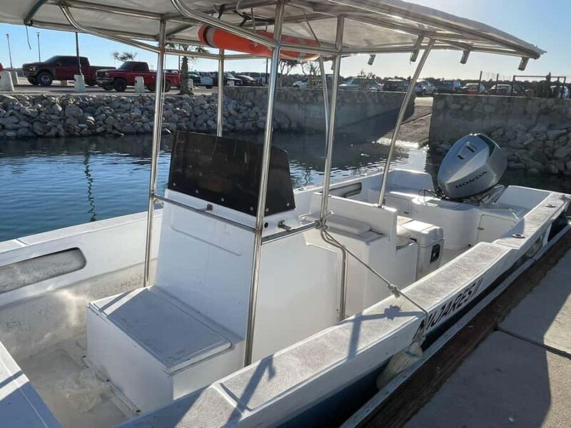 San José del Cabo: Private Fishing - Setting the Scene: What to Expect on Your Day at Sea