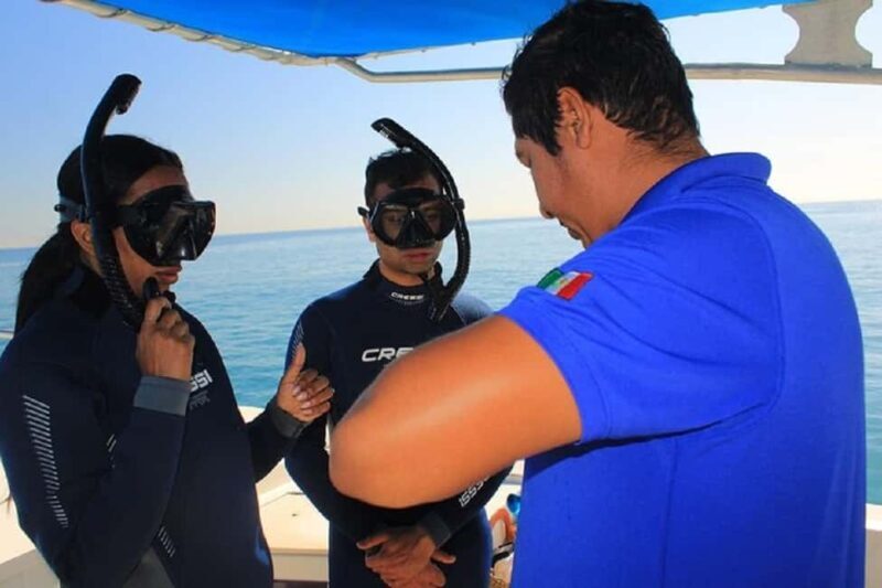 San José del Cabo: Private Snorkeling - A Practical Guide to the San José del Cabo Private Snorkeling Tour