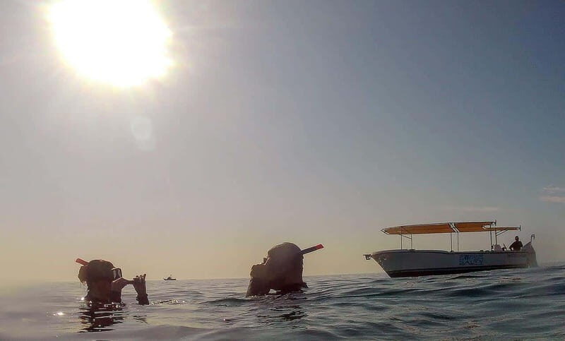 San Jose del Cabo Snorkeling Tour - Who Should Consider This Tour?