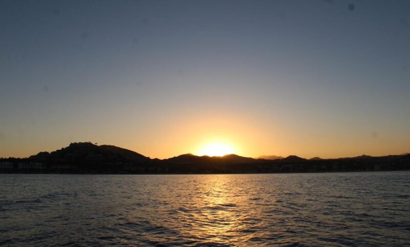 San Jose del Cabo Sunset Whale Watching - Practical Tips for Your Whale Watching Experience
