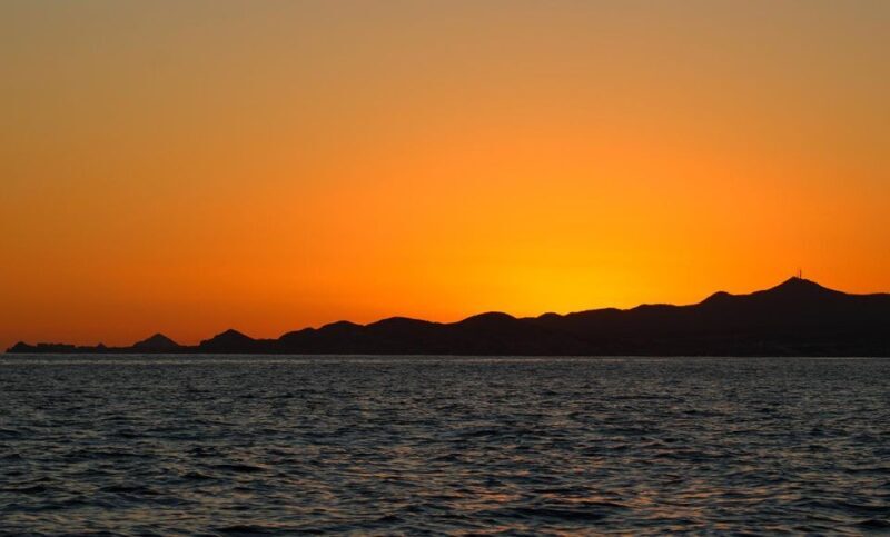 San Jose del Cabo Sunset Whale Watching - FAQs About San Jose del Cabo Sunset Whale Watching