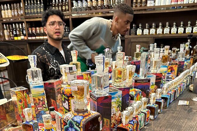 San Jose del Cabo- Tequila, Mezcal & Mixology Class - Who Will Enjoy This Experience?