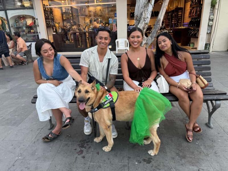 San José del Cabo: Thursday Night Art Walk Tour - Authenticity and Insights