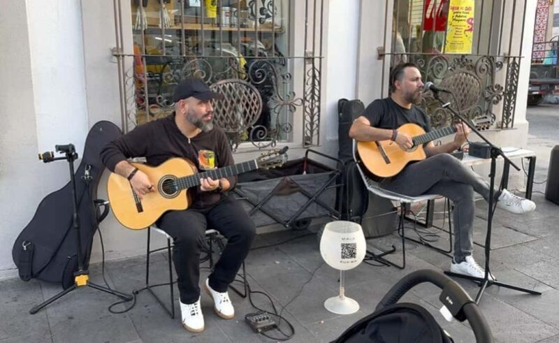 San José del Cabo: Thursday Night Art Walk Tour - Practical Tips for the Tour