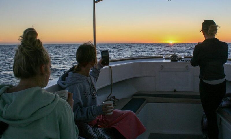 San Jose del Cabo Whale Watching Sunrise Tour - FAQ