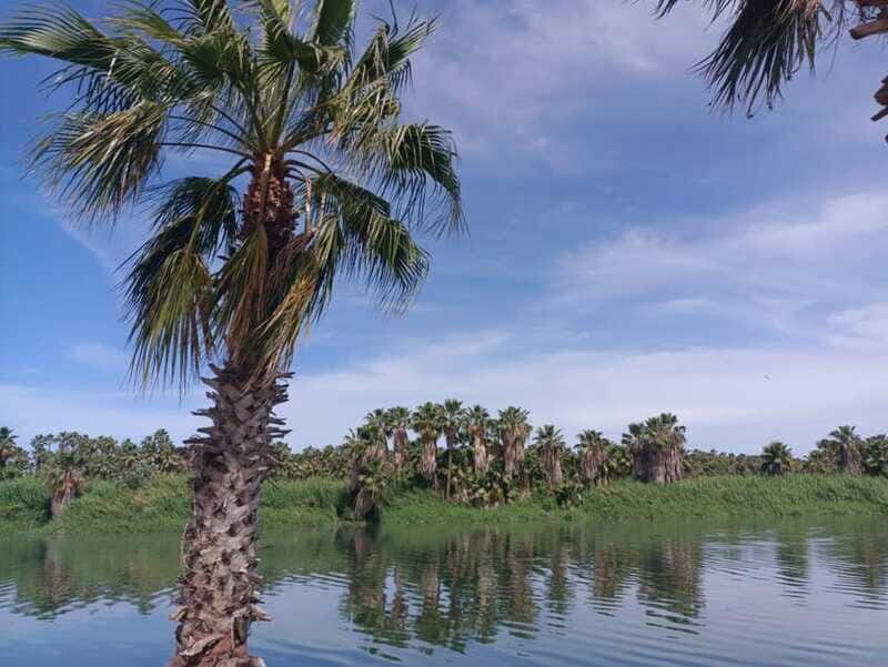 SAN JOSE GOLDEN - FAQ