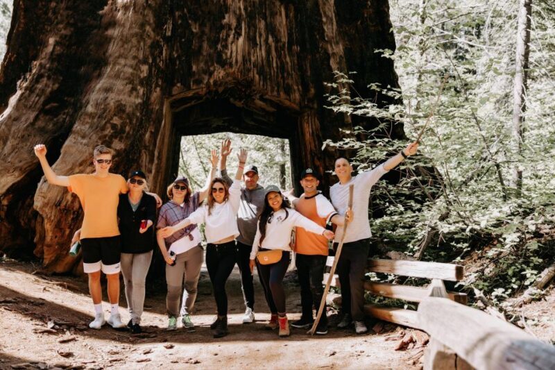 San Jose: Yosemite National Park and Giant Sequoias Trip - Who Will Love This Tour?