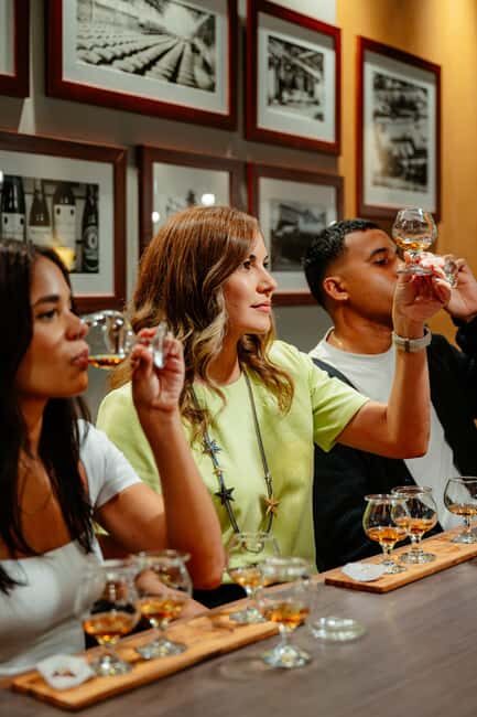 San Juan: Casa Bacardi Distillery Tour - Key Points