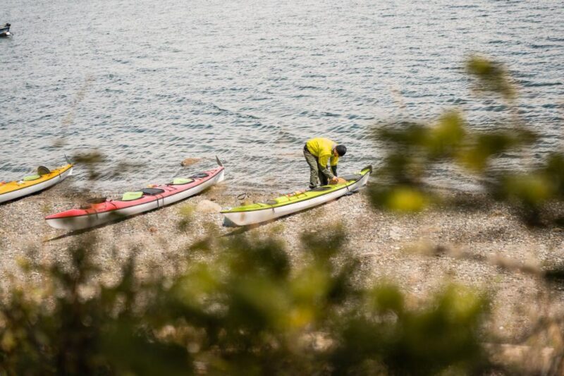 San Juan Island: 3-h Griffin Bay Tour - Key Points