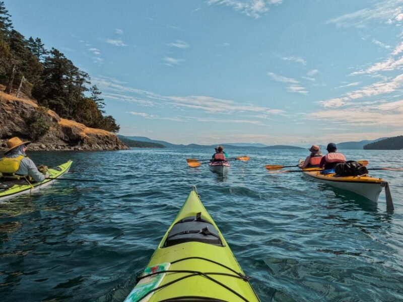 San Juan Island: 3-h Griffin Bay Tour - Final Thoughts