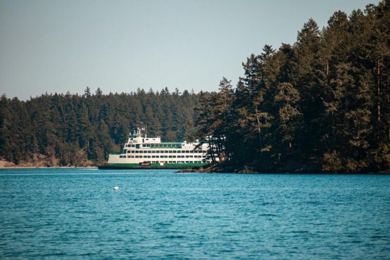 San Juan Island: 3-h Griffin Bay Tour - FAQ