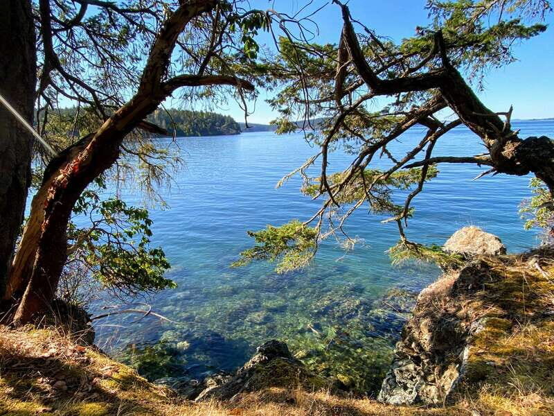 San Juan Island: Full Day Kayaking Tour with Lunch - Who Would Love This Tour?