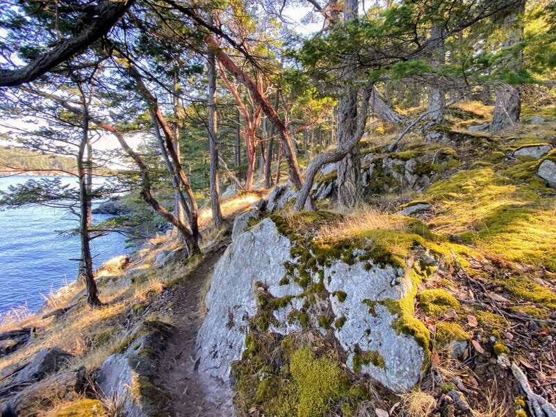San Juan Island: Full Day Kayaking Tour with Lunch - Final Thoughts