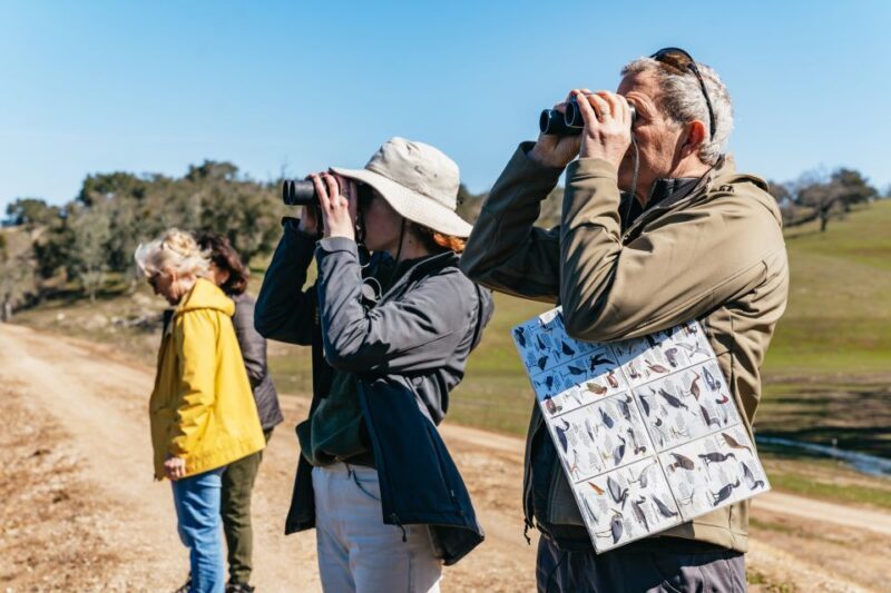 San Luis Obispo: Santa Lucia Guided Nature Tour - A Deep Dive Into the Tour Experience