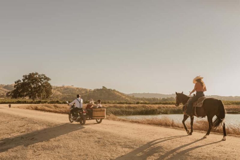 San Luis Obispo: Vineyard Rides Wine Adventure - Key Points