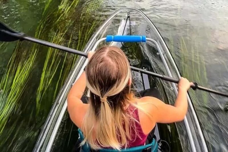 San Marcos: Clear Kayak Eco Tour on Spring-Fed River - An In-Depth Look at the Clear Kayak Eco Tour
